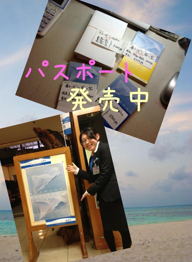 http://shimoden.bonvoyage.co.jp/news/SETOUTIGEIJYUTUSAI.JPG